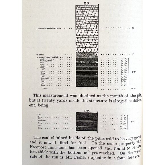 Geology Of Southwestern Pennsylvania Lot Of 2 1877-78 Victorian Coal WHBS - Picture 7 of 10